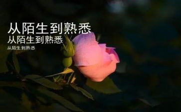 我熟悉的人作文精选6篇