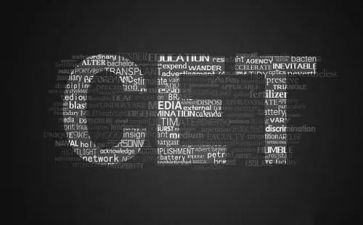 20247四级作文8篇