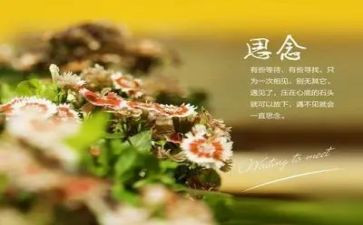 思念家乡作文600字优质7篇