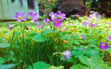 四月的工作总结模板7篇