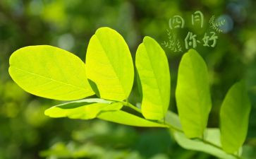 四月的工作总结参考5篇