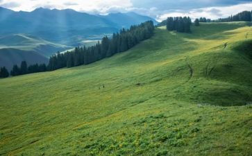 幼儿园四月份月计划模板8篇