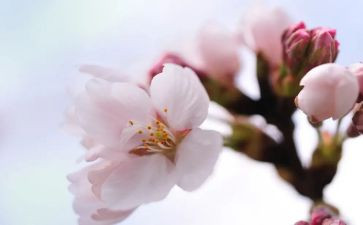 四月份的工作总结最新5篇