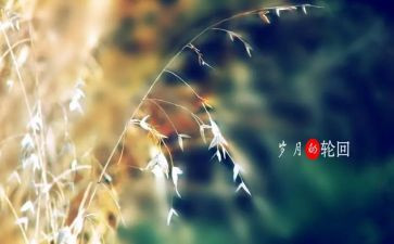 岁月的作文通用7篇