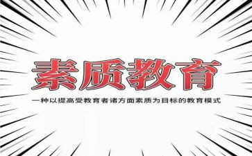 教育素质教师工作计划6篇