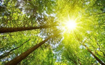 太阳作文800字7篇