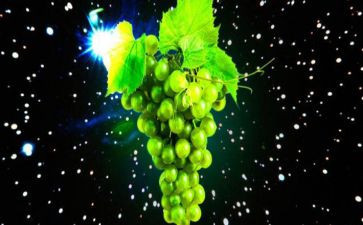 探索自然的奥秘小作文6篇