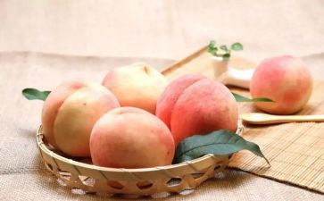 画桃子的教案5篇