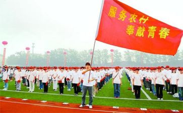 特岗教师学习心得体会2023模板7篇