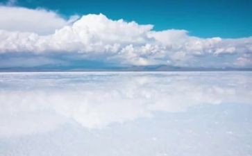 羊不吃天堂草读后感6篇