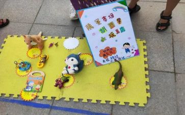 跳蚤活动总结优质7篇