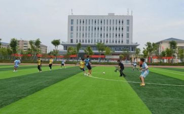 2024学校体卫艺工作计划7篇