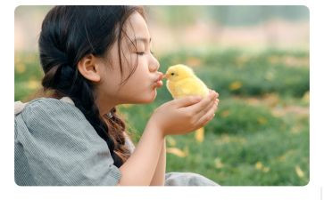 关于写童心的作文5篇