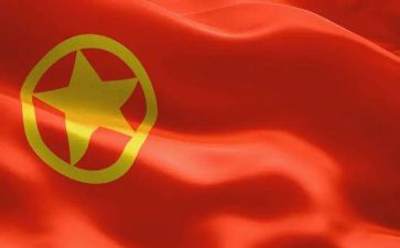 院团委工作总结报告6篇