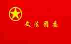 在团委工作的个人总结参考5篇