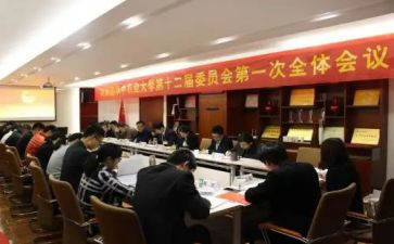 竞选团委会演讲稿模板7篇