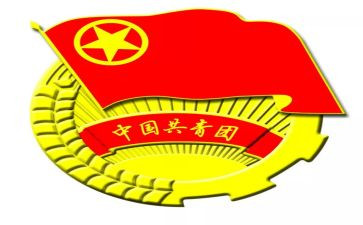 团组织建设工作总结5篇