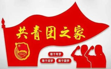 团组织部个人总结6篇