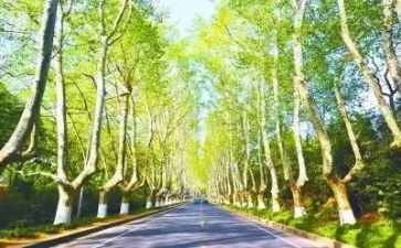 水污染突发事件应急预案6篇