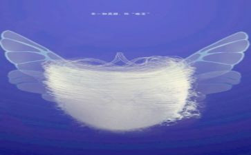 蝉的蜕变作文8篇