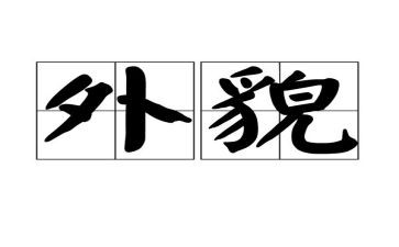 写外貌的作文通用7篇