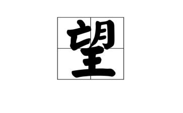 望作文500字最新8篇
