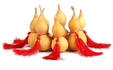 红葫芦读后感300字8篇