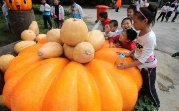 万圣节亲子活动方案6篇