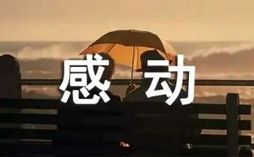 _让我感动600字作文6篇