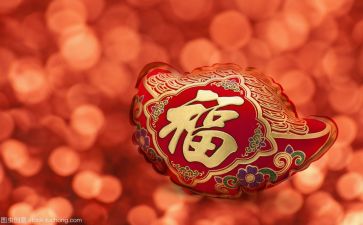 玖伍文化心得体会精选5篇