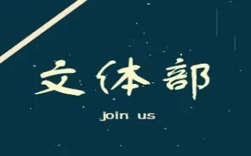 2024年村文体工作总结精选8篇