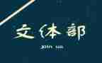 2024年村文体工作总结精选8篇