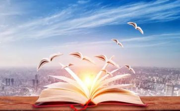 文学活动方案模板5篇