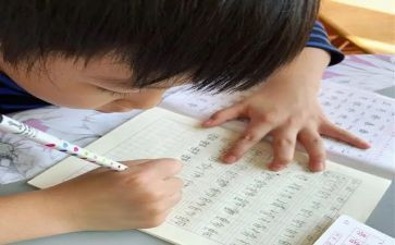274的我的名字作文参考5篇