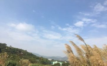 作文我的一天500字7篇