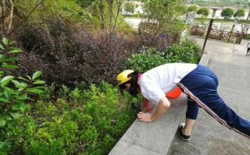 中班《我能行》教案5篇