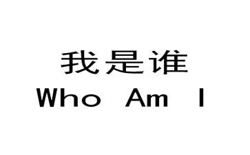 社会活动我是谁教案5篇