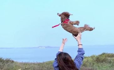 幼儿园我要飞教案5篇