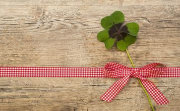 种幸运草作文模板8篇