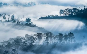 雾的读后感300字优秀7篇