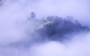 雾的读后感300字通用6篇