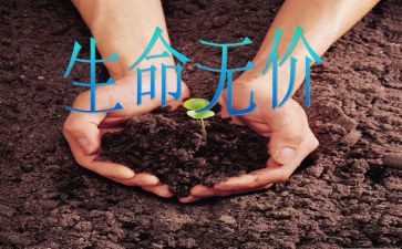 书是无价之宝作文7篇