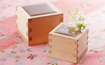 大班《整理物品》教案5篇