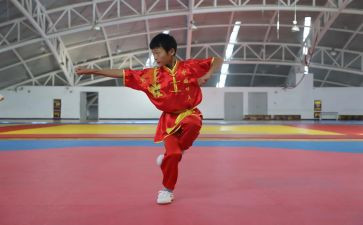 练武术的作文通用8篇