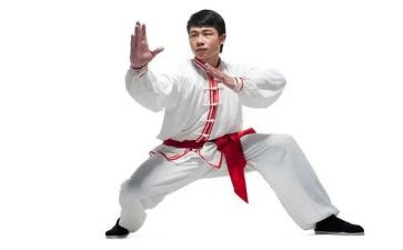 关于武术的作文7篇