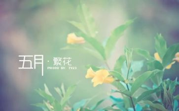 五月的工作计划优质5篇