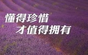 珍惜的素材作文5篇