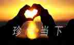 珍惜青春的作文优质5篇