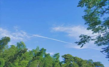 夏令营的心得体会参考5篇