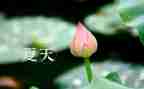 安全教育《夏季防溺水》教案7篇
